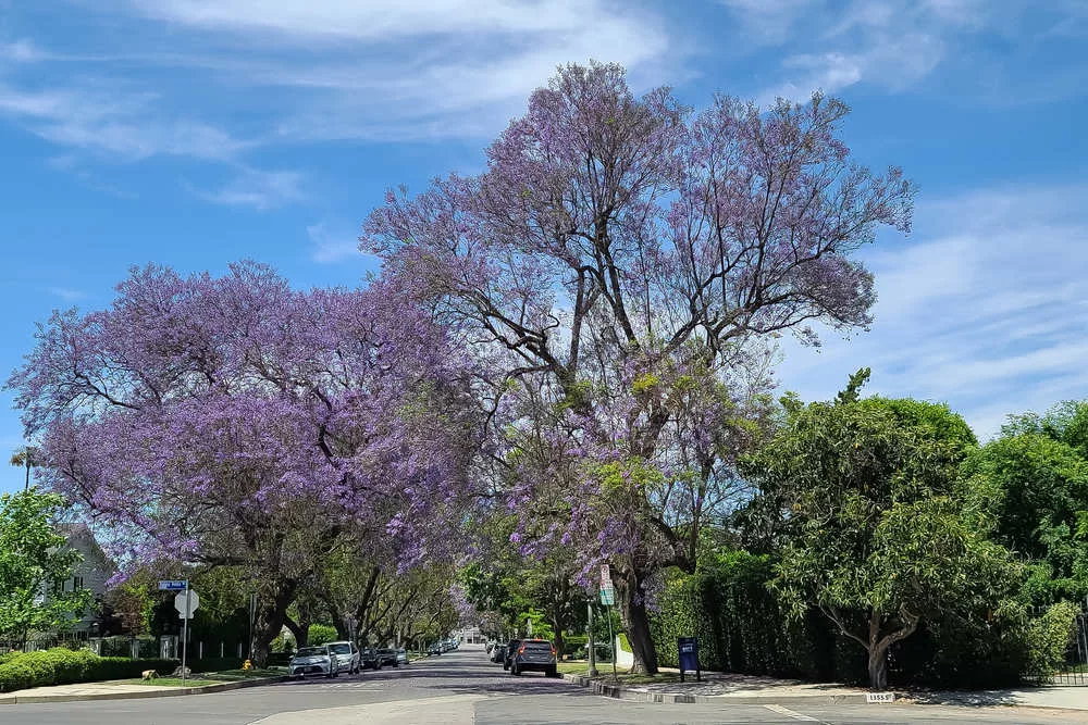 Professional Patio Door Installation Services in Sherman Oaks