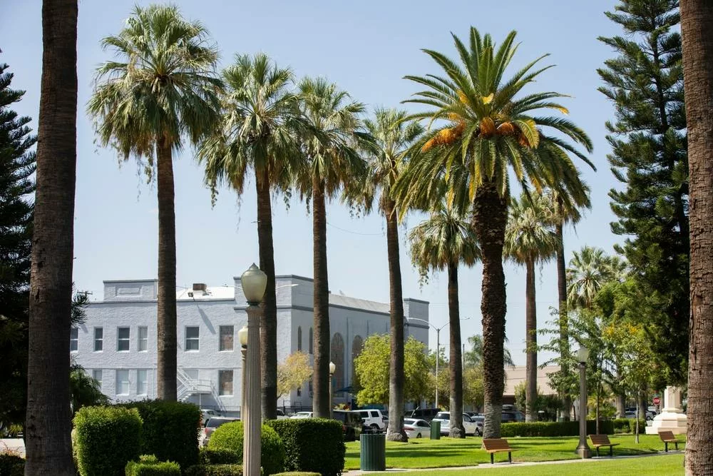 Efficient Window Installation Services in Colton