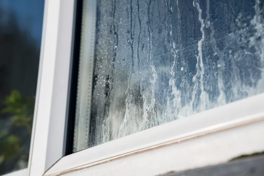 Windows on the Mend: Should You Repair or Replace?