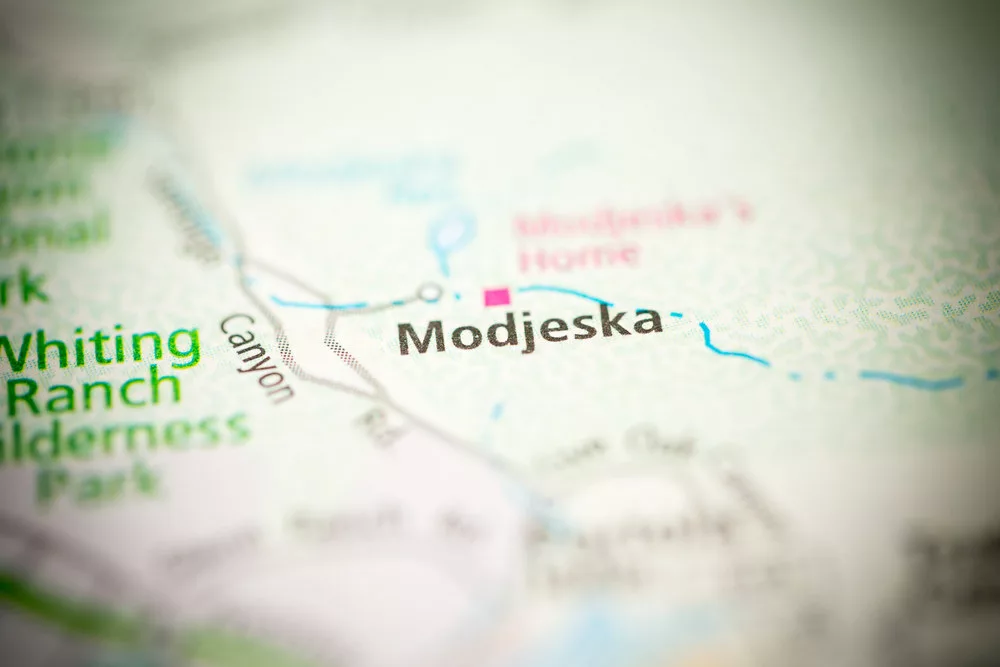 Window Repair Services in Modjeska Canyon