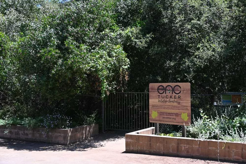 Window Repair Services in Silverado